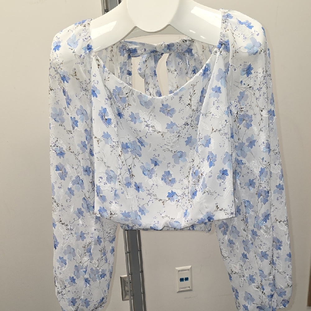 ARULA Blue Floral Tie-Back Sheer Long Sleeve Blouse